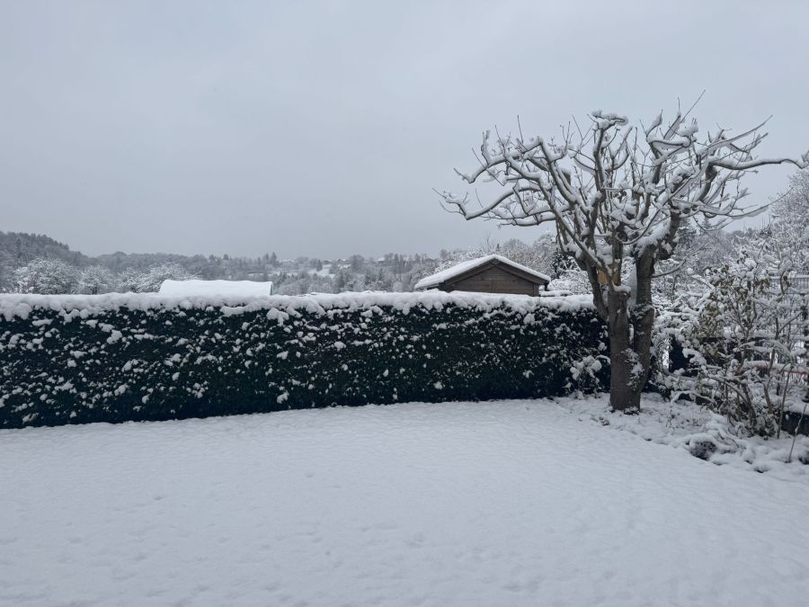 Die Gärten in Thun sind am Freitagmorgen von einer Schneeschicht bedeckt.