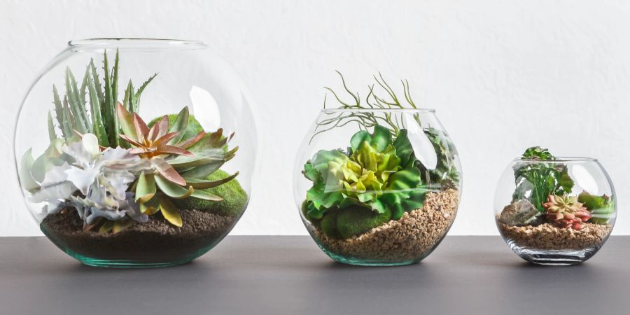 Verschiedene Terrarien