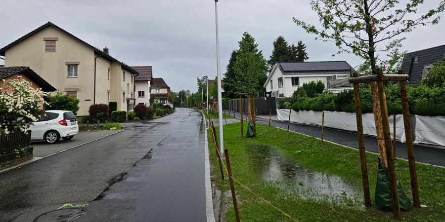 Strasse mit Grünstreifen