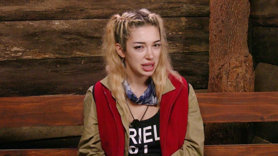 Ariel sagt auch: Neil Armstrong sei nie auf dem Mond gewesen.