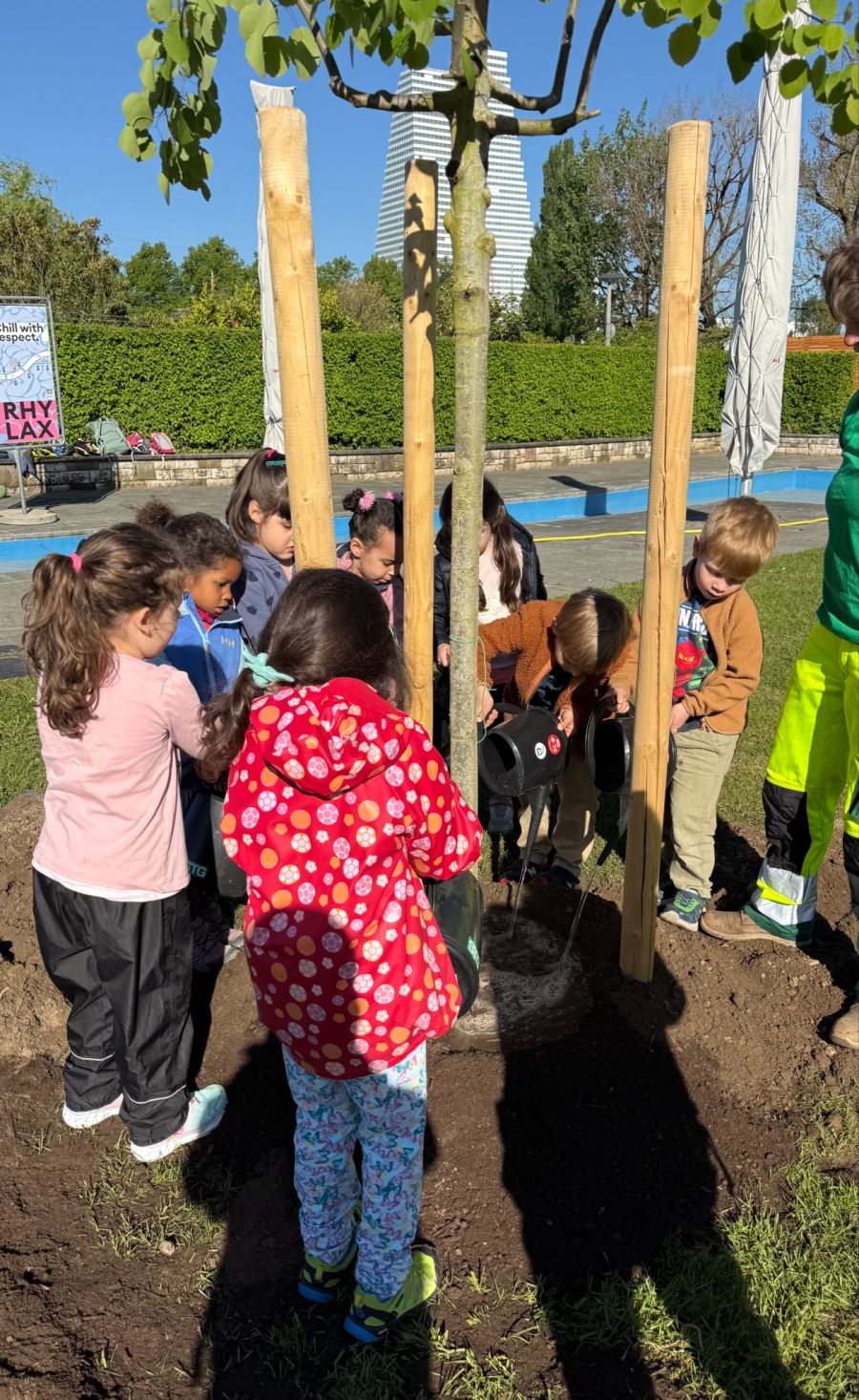 Jedes Jahr wird zum «Tag des Baumes» der «Baum des Jahres» in Basel gepflanzt.