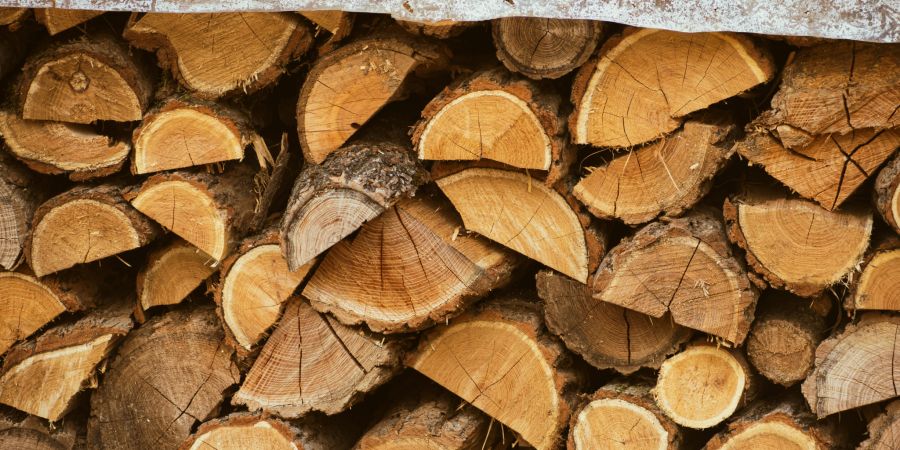 Holz Alternative Symbolbild