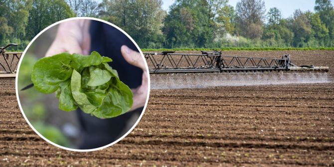 niederbipp pestizide