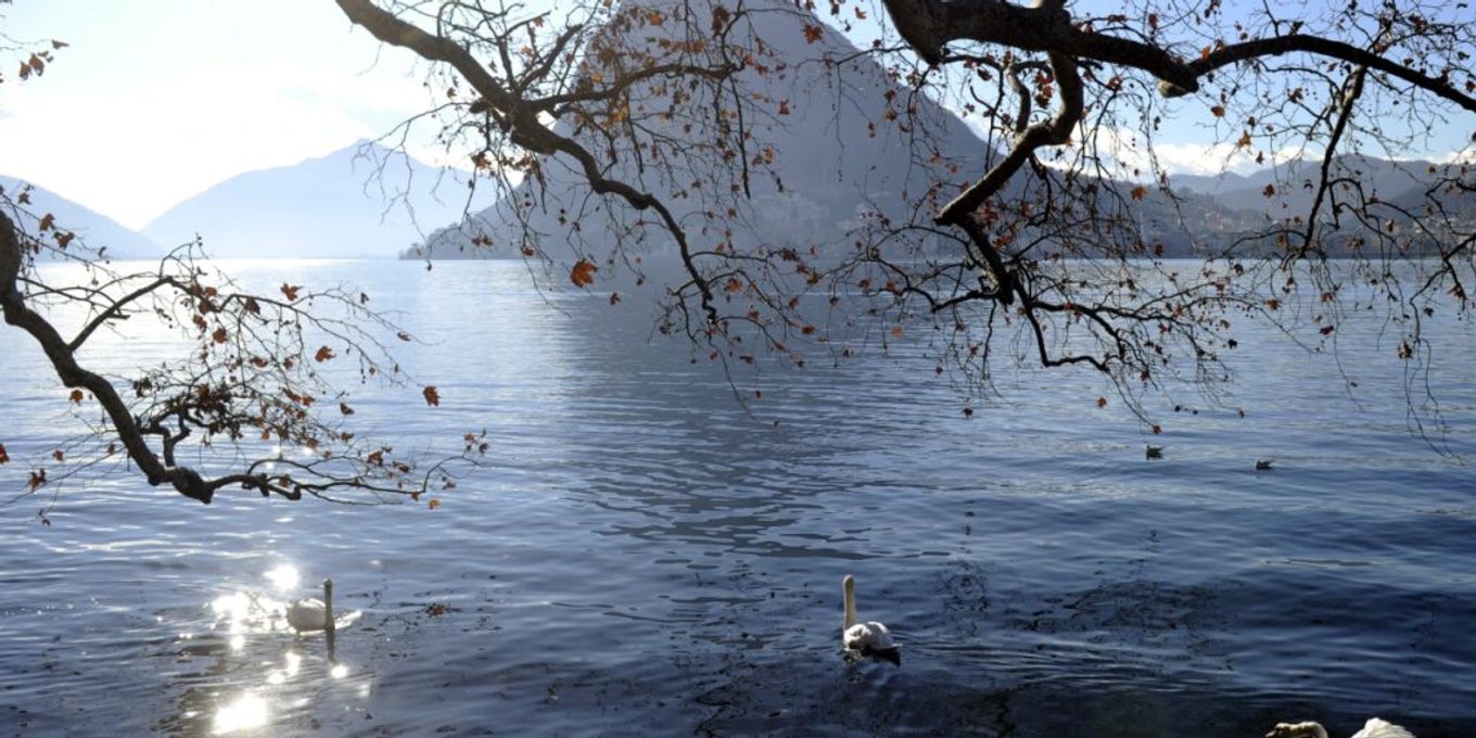 Schweiz misst erstmals in diesem Jahr über 20 Grad | Nau.ch