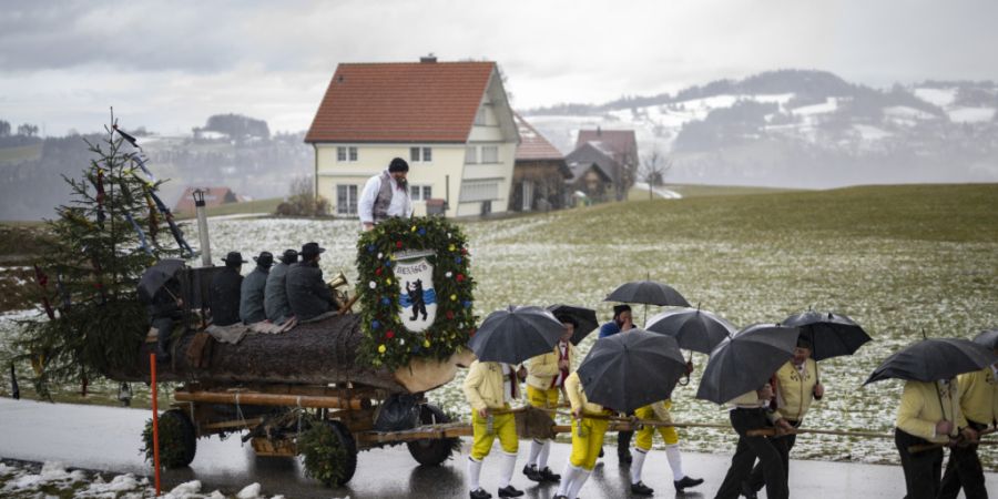 Männer ziehen durchs Appenzeller Hinterland einen geschmückten Baumstamm, der anschliessend versteigert wird. Der «Blochmontag» markiert das Ende der Fasnachtszeit.