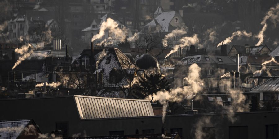 Wegen der Kältewellen in den kommenden Wochen dürften die Gasspeicherstände in Europa weiter sinken. Gas wird in der Schweiz von Haushalten, von der Industrie, von Dienstleistern und...