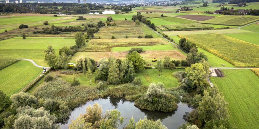 Sind die Zürcher Naturschutzgebiete durch Pestizide belastet (im Bild die Allmend Katzensee)? Der Kantonsrat will es genauer wissen. (Symbolbild)