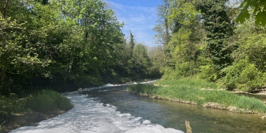 Auf der Ergolz war auch am Sonntag noch weisser Schaum sichtbar - wie bereits auf dem Bild am Samstag.