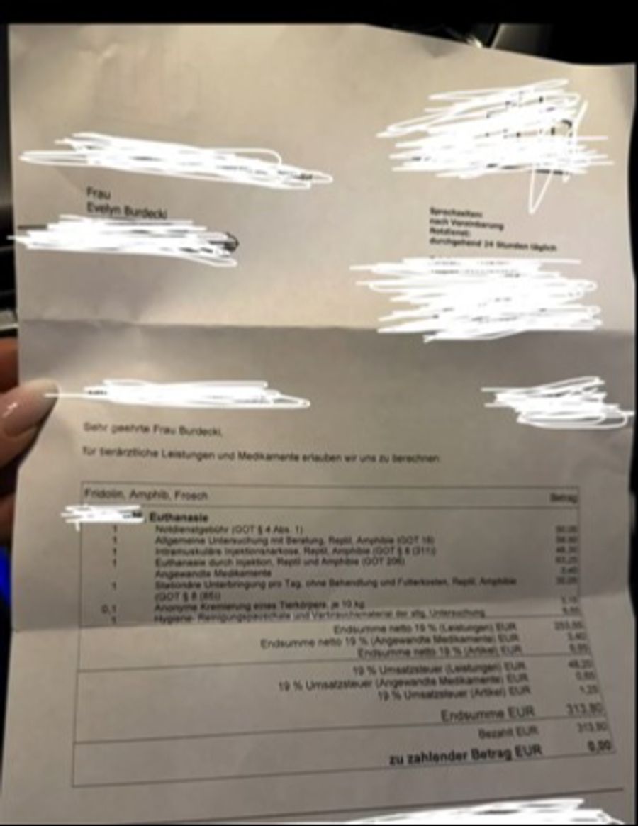 Die Rechnung Schwarz auf weiss: Die Tierarztrechnung auf den Namen Evelyn Burdecki. Der zu zahlende Betrag: 313,80 Euro.