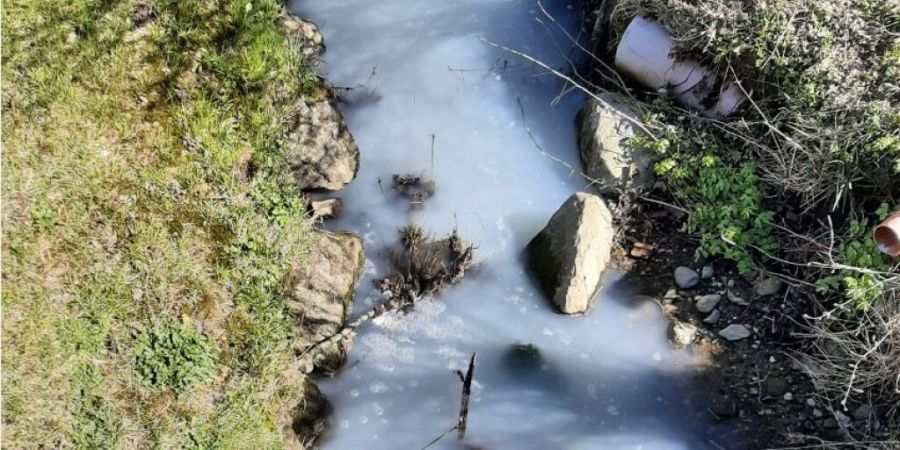 Ausgelaufene Milch verschmutzte einen Bach in Villariaz, Fische starben dabei bis jetzt keine.