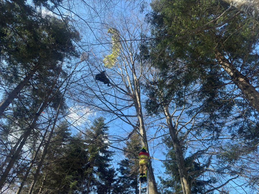 Bei dem Vorfall wurde niemand verletzt.