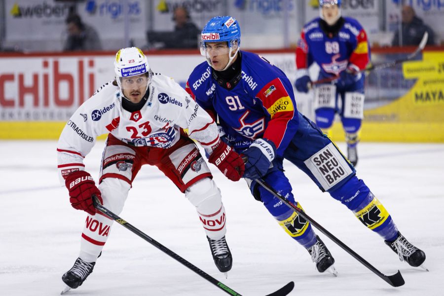 Rapperswil-Jona Lakers