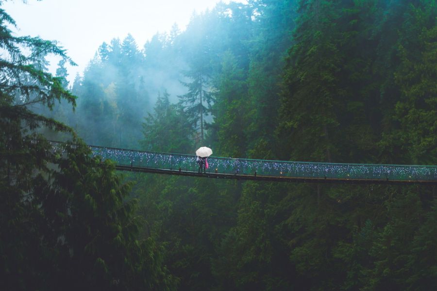 Capilano Suspension Bridge