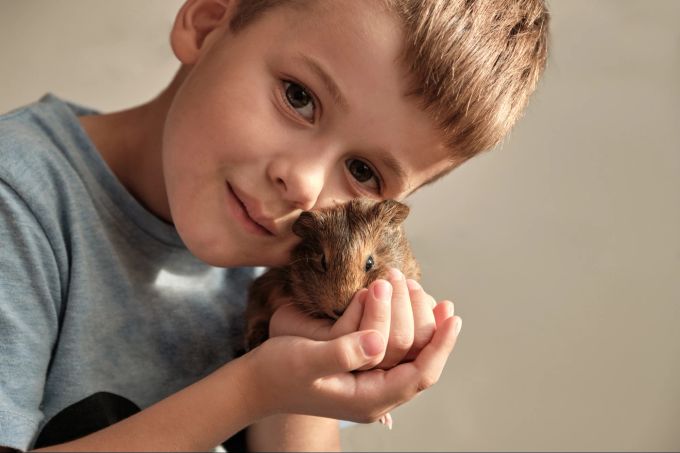 Der Kontakt mit Tieren in der Schule ist vor allem für Kinder wichtig. Kontakt Tiere