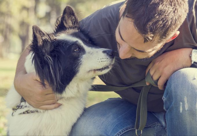 D.O.G.S. ist eine gewaltfreie Coaching-Methode für Hunde und ihre Besitzer. Mann mit Hund.