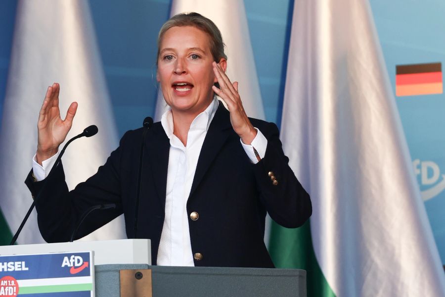 Alice Weidel afd