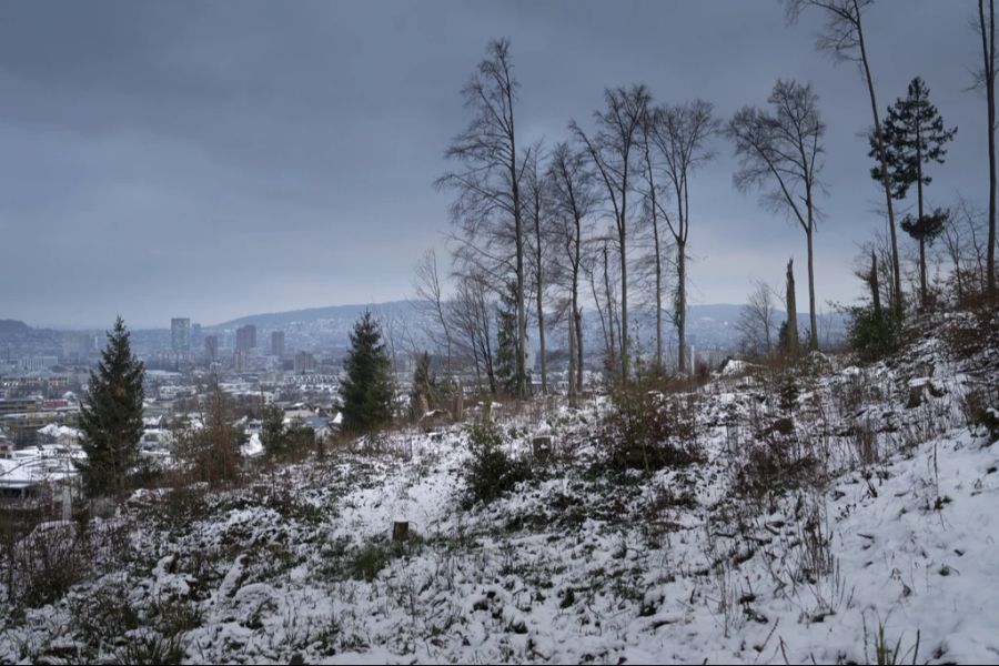 Auch in tiefsten Lagen sind einige Schneeschauer möglich.