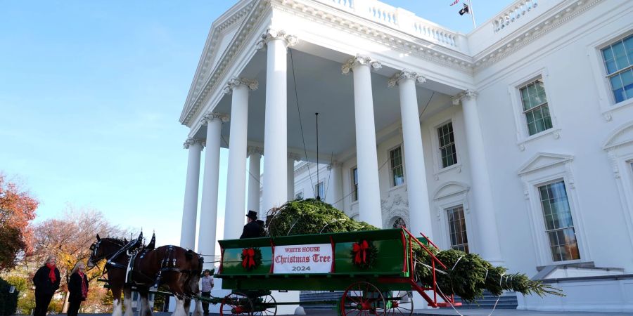 Der diesjährige Weihnachtsbaum stammt aus North Carolina.