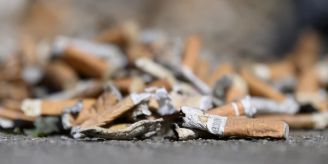 Tödliches Risiko - Zigi-Stummel in der Umwelt sind Gefahr für Ameisen