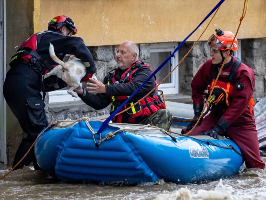 Feuerwehrleute helfen bei der Evakuierung eines Mannes mit seinem Hund aus einem Haus im über die Ufer getretenen Fluss Bela nach heftigen Regenfällen in der Stadt Jesenik, Tschechische Republik, 15. September 2024.