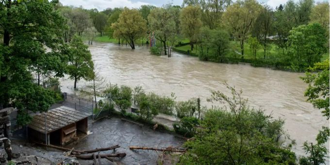 Der Tierpark wurde durch den Sturm stark in Mitleidenschaft gezogen. Der Tierpark wurde durch den Sturm stark in Mitleidenschaft gezogen.