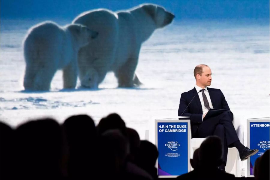 Prinz William a, 22. Januar in der WEF-Kongresshalle in Davos.