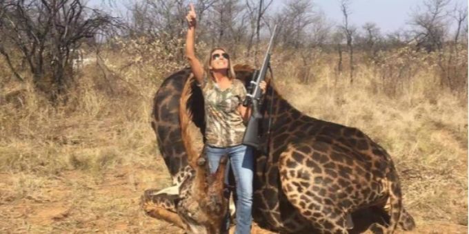 Twitter-Aufstand - Jagd-Touristin posiert mit getöteter Giraffe