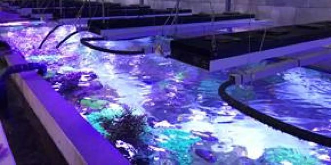 Aquarien im Tierpark hinter den Kulissen Aquarien