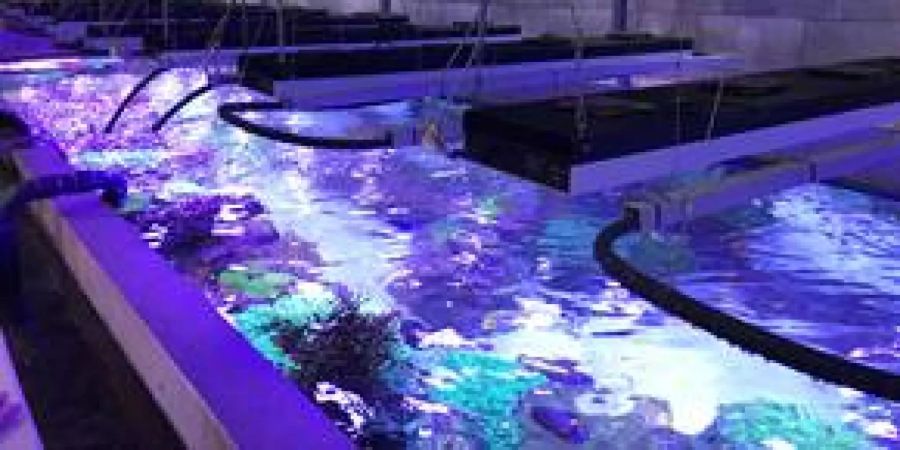 Aquarien