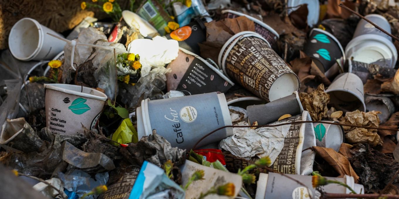 Boppelsen ZH: Mieter ziehen aus – und vergraben Abfall im Garten | Nau.ch