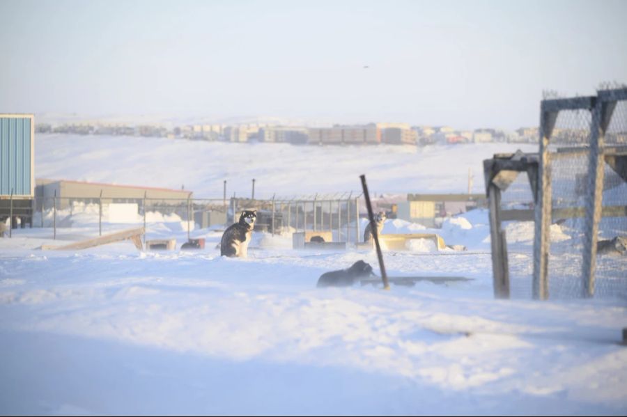 Die Menschen ziehen die Bezeichnung «Inuit» vor.