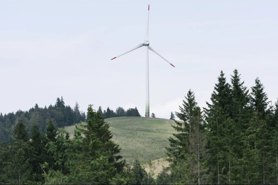 Diese könnten den Bau von mehr als 1000 Windräder zur Folge haben – das gefährde Mensch und Natur. (Symbolbild)