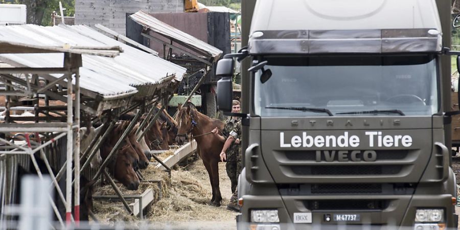 Das Militär transportierte am 8. August 2017 die Pferde vom Landwirtschaftsbetrieb in Hefenhofen TG ab. (Archivbild)