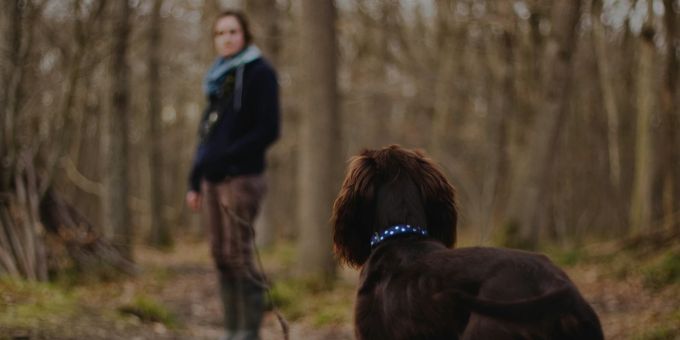 Die Behörden warnen Tierhalter vor dem gefährlichen Virus. (Symbolbild) Frau Hund Wald Virus