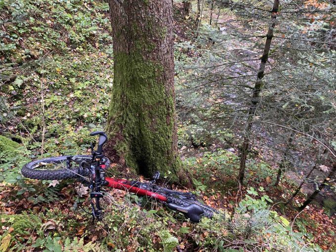 Weiteres verstecktes Velo. Weiteres verstecktes Velo.