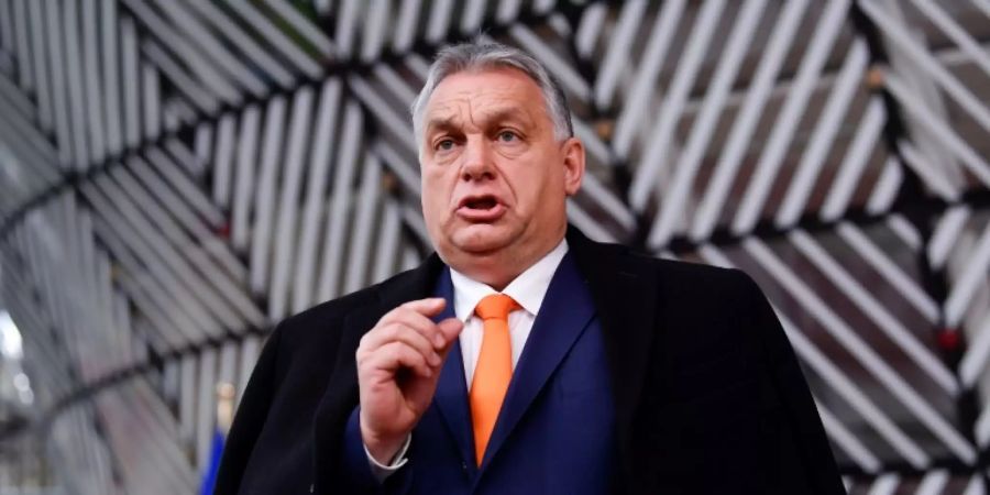 Ungars Ministerpräsident Orban