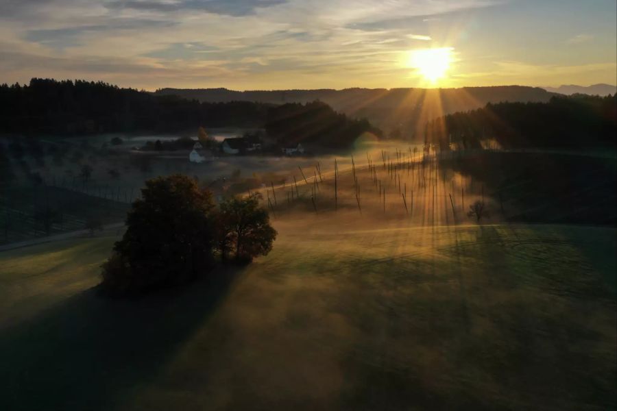 Sonne trifft Bodennebel