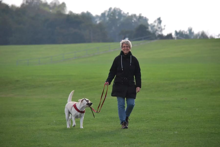 Die ehemaligen Strassenhunde überfordern erstmalige Hundehalter aber oft.