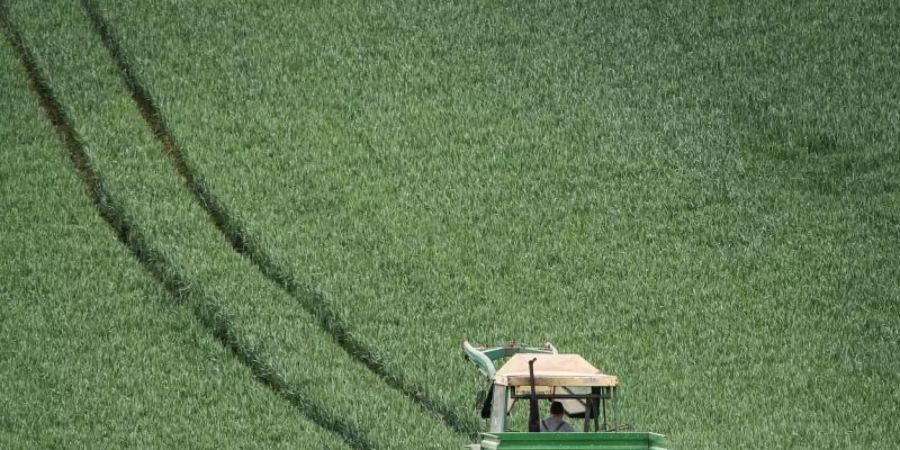 Mit dem Düngerstreuer am Traktor fährt ein Landwirt im Main-Kinzig-Kreis über ein noch grünes Getreidefeld. Foto: Frank Rumpenhorst/dpa