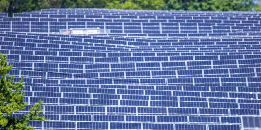 Ökostrom aus Wind, Sonne und anderen erneuerbaren Energiequellen hat im ersten Halbjahr nach Branchenangaben 43 Prozent des Bruttostromverbrauchs in Deutschland gedeckt - und damit weniger als im Vorjahreszeitraum. Foto: Jens Büttner/dpa-Zentralbild/dpa