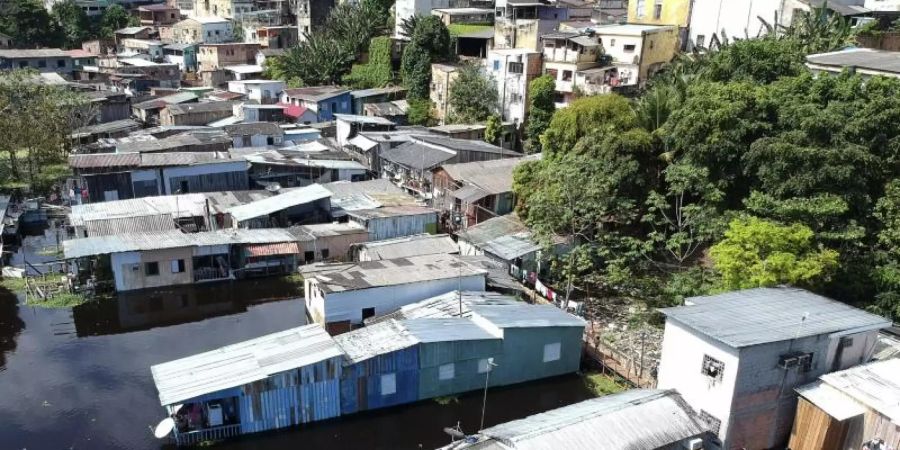 Häuser in Manaus, die vom Wasser des Flusses Negro überflutet wurden. Foto: Edmar Barros/AP/dpa