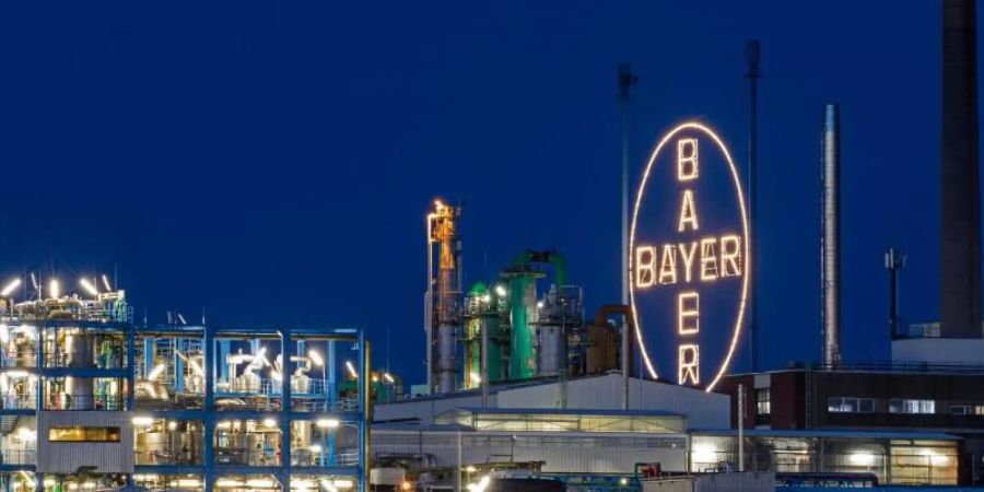 Werksgelände von Bayer in Leverkusen gegenüber dem Rheinufer in Köln. Foto: Oliver Berg