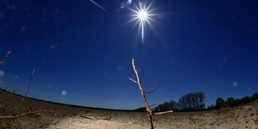 Verdorrte Landschaft