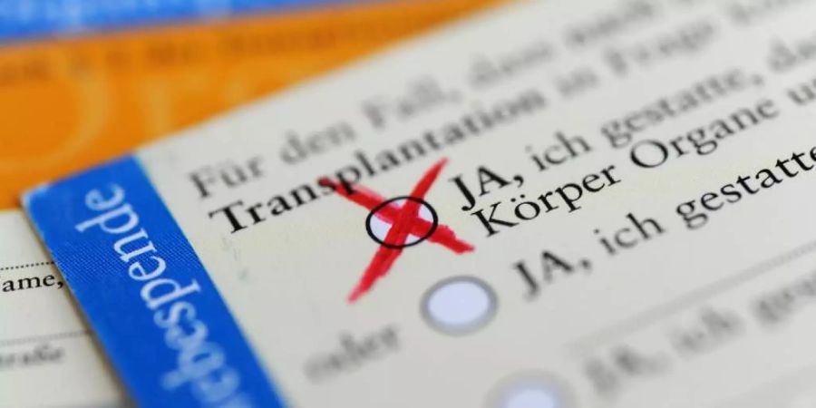 Über das Organspendesystem in Deutschland wird viel debattiert. Foto: Marie Reichenbach