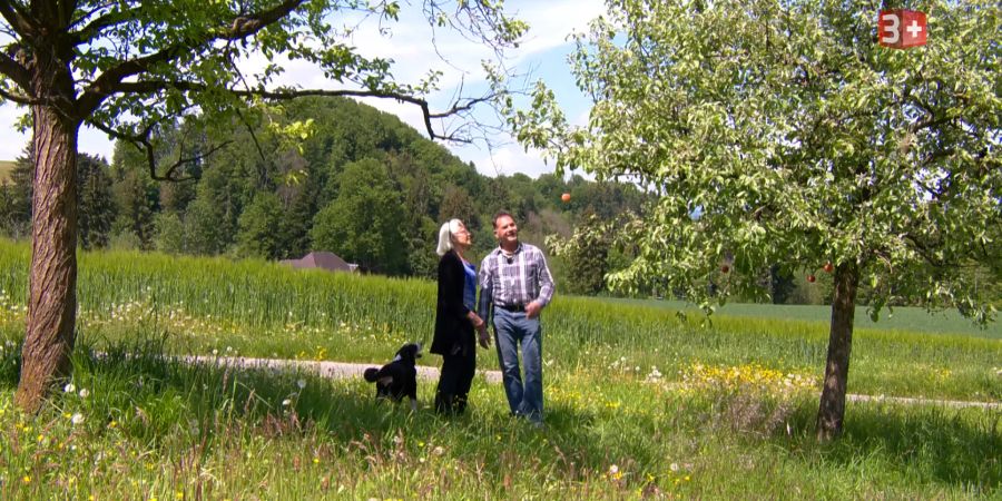 Bauer ledig sucht Hans