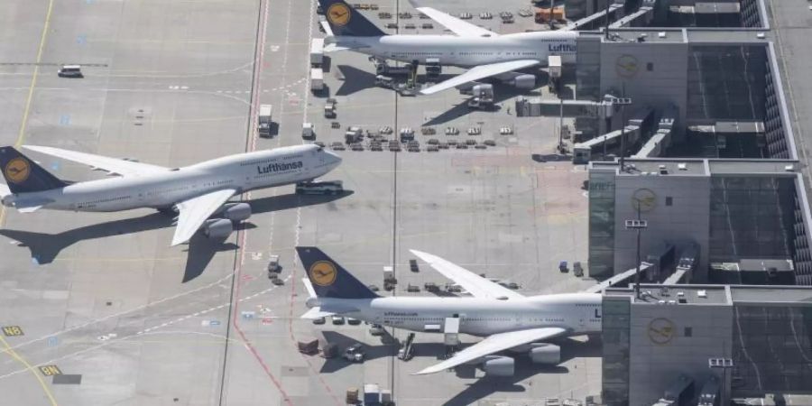 Bislang mit steuerfreiem Kerosin unterwegs: Lufthansa-Jets an Terminal 1 des Flughafens Frankfurt. Foto: Boris Roessler