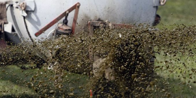Die Bauern hielten sich nicht an die gesetzlichen Vorgaben. Bauern Gülle