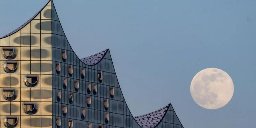 In der Elbphilharmonie in Hamburg soll es ab September wieder Konzerte geben. Foto: Axel Heimken/dpa