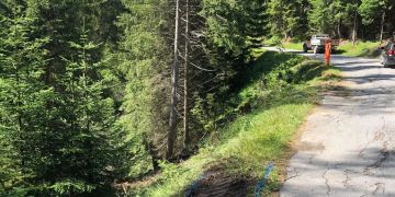 Personenwagen geriet über die Strasse hinaus