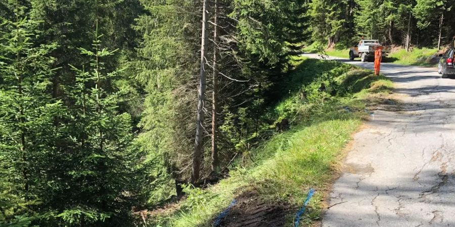 Personenwagen geriet über die Strasse hinaus